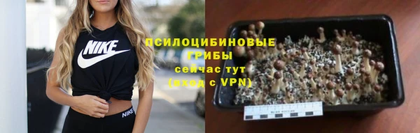 ECSTASY Алексин