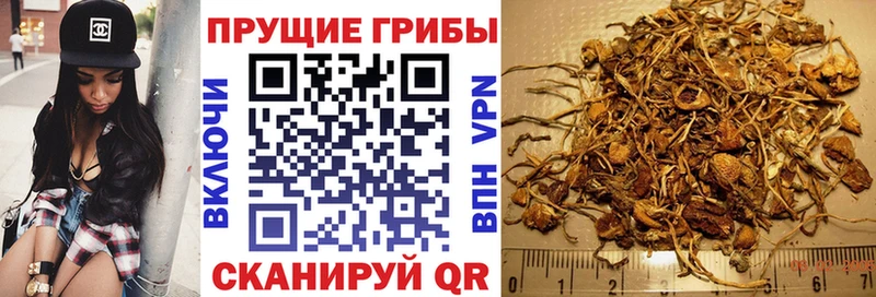 Псилоцибиновые грибы Cubensis  Карабаш 