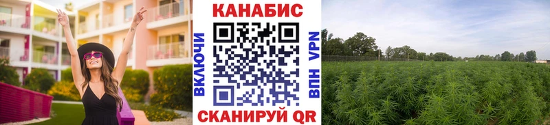 МАРИХУАНА конопля  что такое   Карабаш 